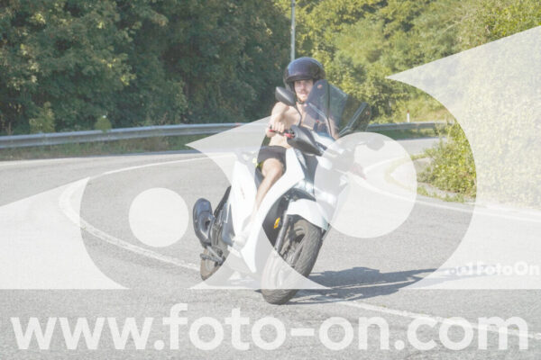 <h1 class="product-title">thumb_FF103931</h1>