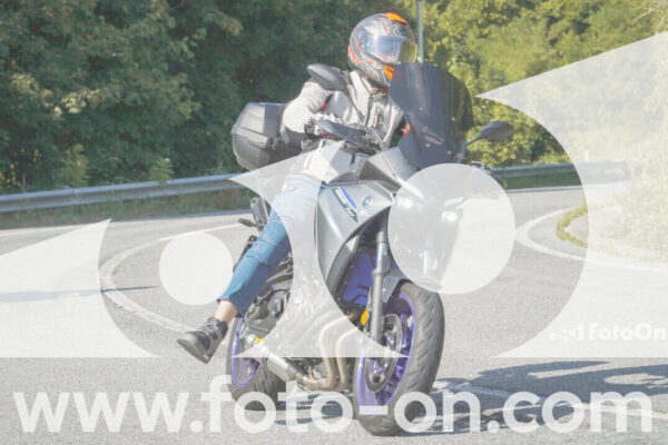 <h1 class="product-title">thumb_FF103991</h1>