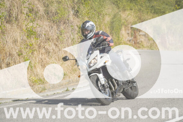 <h1 class="product-title">thumb_FF103995</h1>