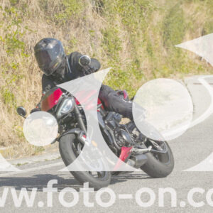 thumb_FF103996