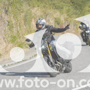thumb_FF104019