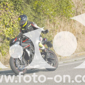 thumb_FF104036