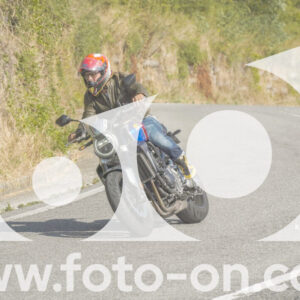 thumb_FF104076