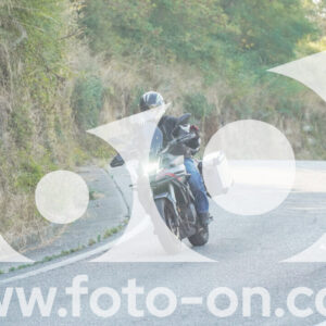 thumb_FF104079