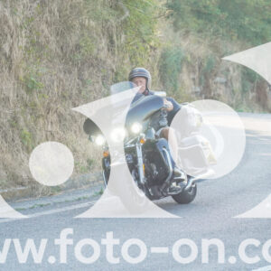 thumb_FF104103