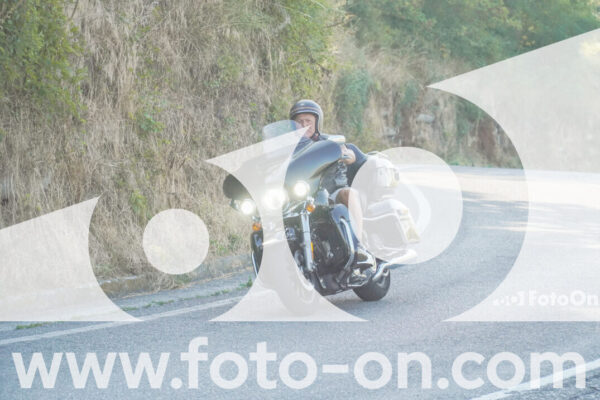 <h1 class="product-title">thumb_FF104103</h1>