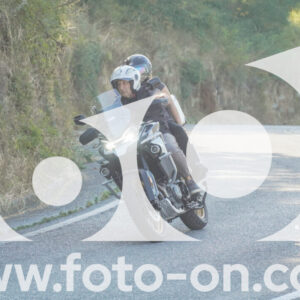 thumb_FF104114