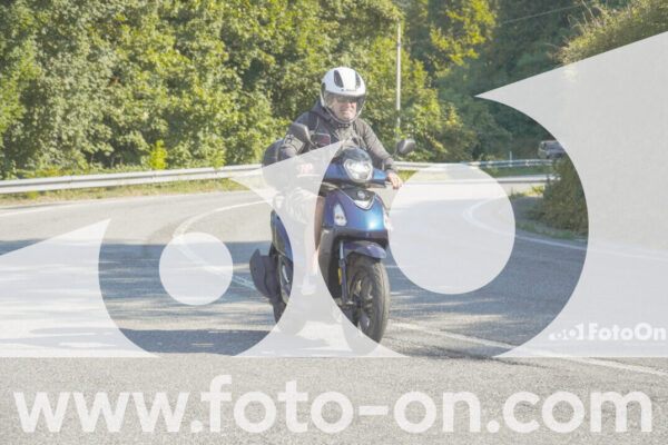 <h1 class="product-title">thumb_FF104184</h1>