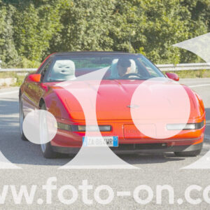 thumb_FF104185