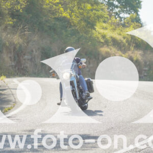 thumb_FF104192