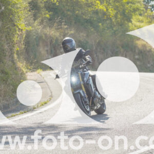 thumb_FF104219