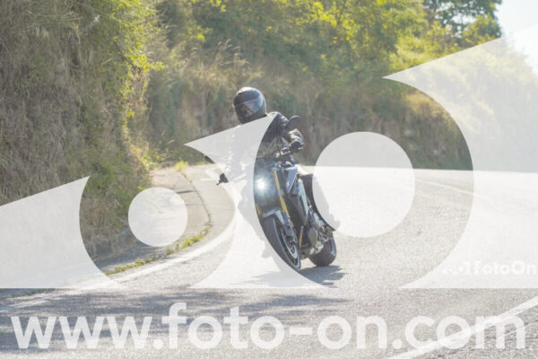 <h1 class="product-title">thumb_FF104219</h1>
