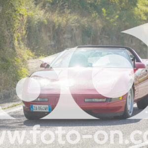 thumb_FF104247