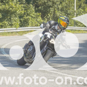 thumb_FF104254