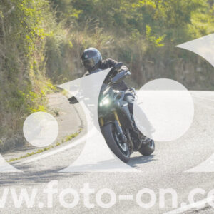thumb_FF104267