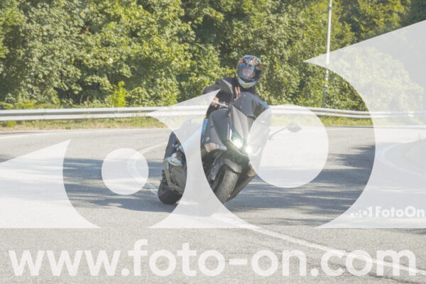 <h1 class="product-title">thumb_FF104278</h1>