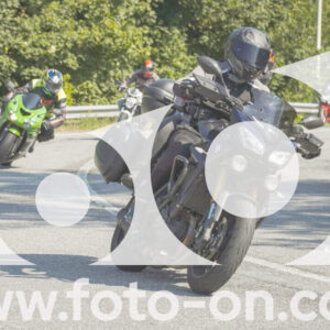 thumb_FF104296