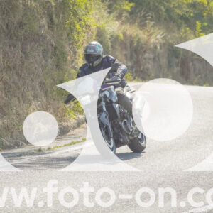 thumb_FF104305