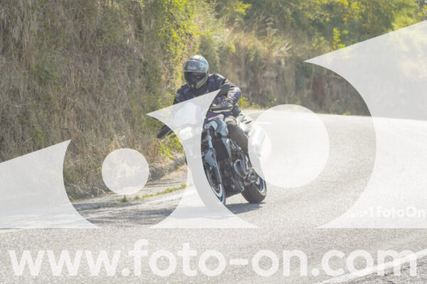 <h1 class="product-title">thumb_FF104305</h1>