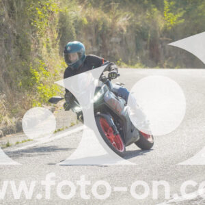 thumb_FF104313