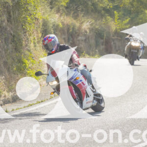 thumb_FF104316