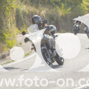 thumb_FF104317