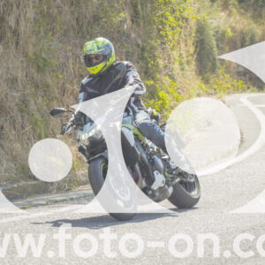 thumb_FF104348