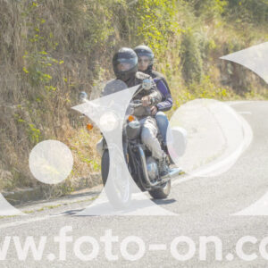 thumb_FF104382