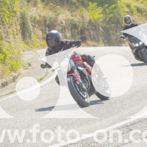 thumb_FF104386