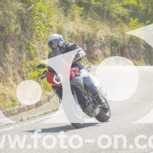 thumb_FF104396