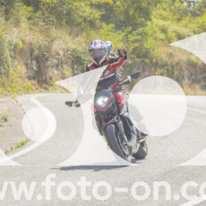 thumb_FF104420