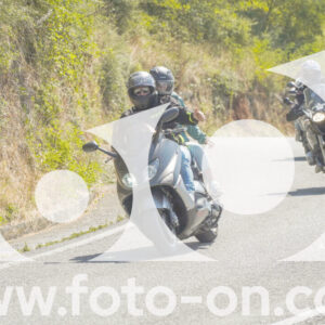 thumb_FF104450