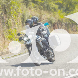 thumb_FF104454