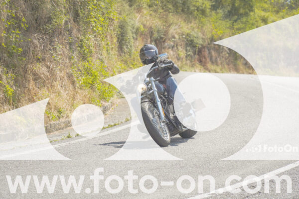 <h1 class="product-title">thumb_FF104458</h1>