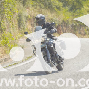 thumb_FF104462