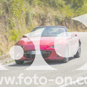 thumb_FF104464