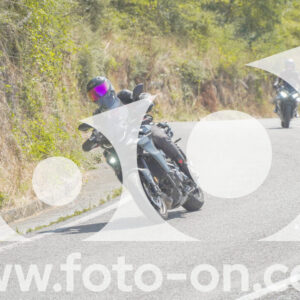 thumb_FF104488