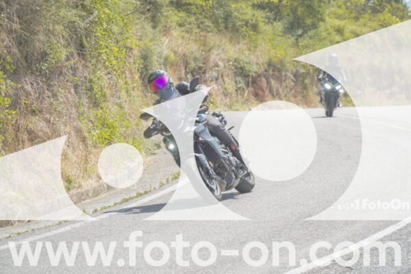 <h1 class="product-title">thumb_FF104488</h1>
