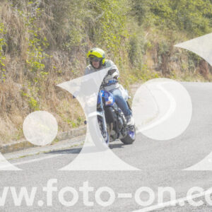 thumb_FF104495