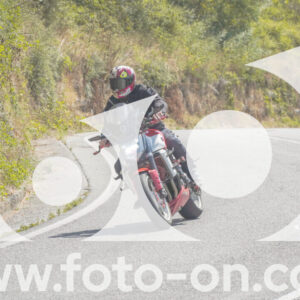 thumb_FF104506