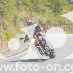thumb_FF104533