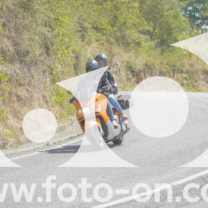 thumb_FF104549