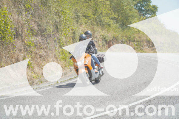 <h1 class="product-title">thumb_FF104549</h1>