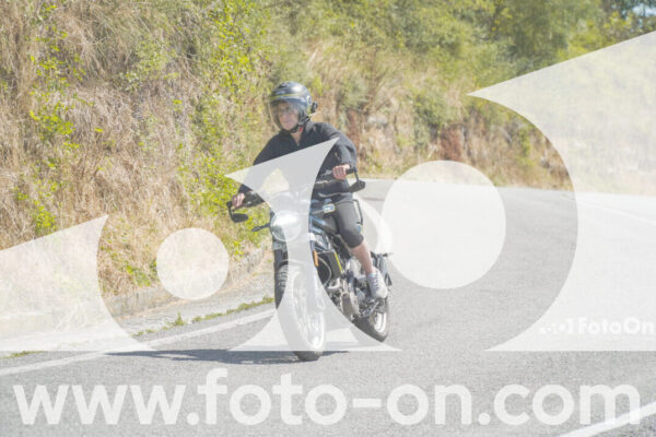 <h1 class="product-title">thumb_FF104612</h1>