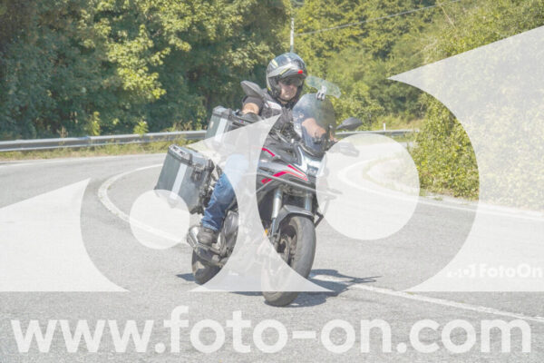 <h1 class="product-title">thumb_FF104642</h1>