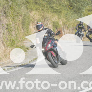 thumb_FF104952
