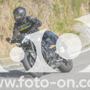 thumb_FF104954