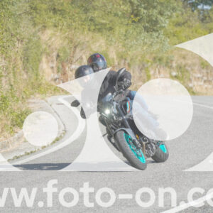 thumb_FF104955
