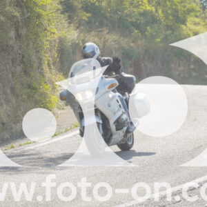 thumb_FF105095-1