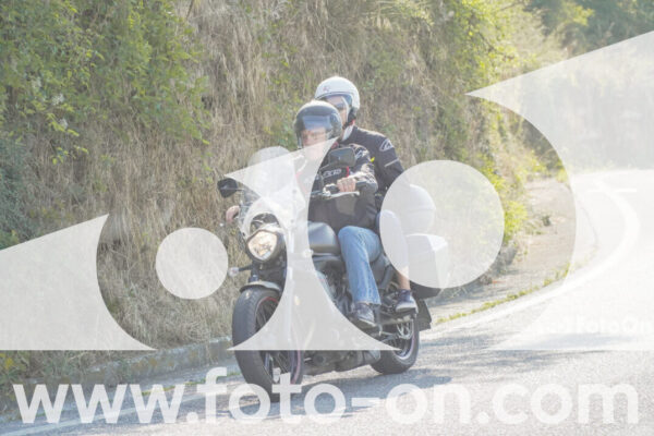 <h1 class="product-title">thumb_FF105097-1</h1>